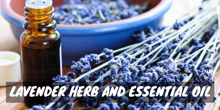 The best essential oils for oily skin